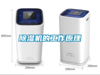 企業(yè)新聞除濕機(jī)的工作原理