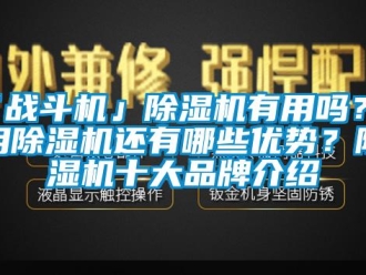 企業(yè)新聞「戰(zhàn)斗機(jī)」除濕機(jī)有用嗎？使用除濕機(jī)還有哪些優(yōu)勢(shì)？除濕機(jī)十大品牌介紹