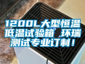 常見(jiàn)問(wèn)題1200L大型恒溫低溫試驗(yàn)箱 環(huán)瑞測(cè)試專(zhuān)業(yè)訂制！