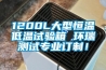 1200L大型恒溫低溫試驗(yàn)箱 環(huán)瑞測(cè)試專業(yè)訂制！