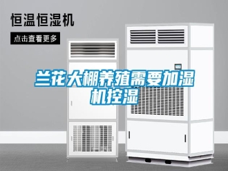 行業(yè)新聞蘭花大棚養(yǎng)殖需要加濕機控濕