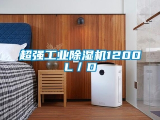 企業(yè)新聞超強工業(yè)除濕機1200L／D