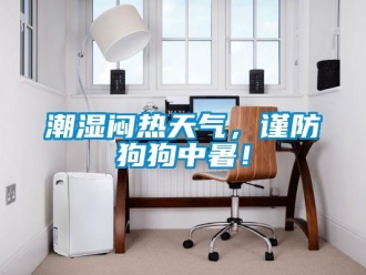 企業(yè)新聞潮濕悶熱天氣，謹防狗狗中暑！