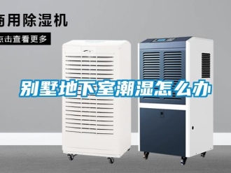 企業(yè)新聞別墅地下室潮濕怎么辦