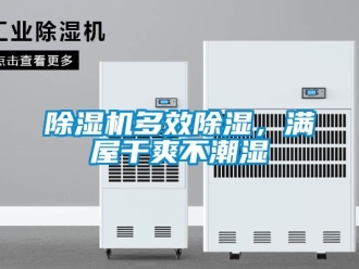 企業(yè)新聞除濕機(jī)多效除濕，滿屋干爽不潮濕