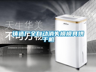 知識(shí)百科鑄造廠全自動(dòng)消失模模具烘干機(jī)