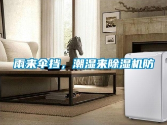 知識百科雨來傘擋，潮濕來除濕機防