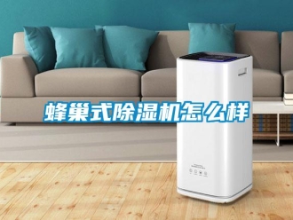 常見問題蜂巢式除濕機(jī)怎么樣