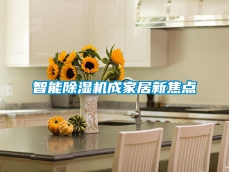 知識(shí)百科智能除濕機(jī)成家居新焦點(diǎn)