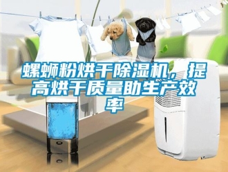 行業(yè)新聞螺螄粉烘干除濕機(jī)，提高烘干質(zhì)量助生產(chǎn)效率