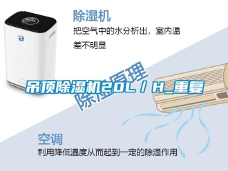行業(yè)新聞吊頂除濕機(jī)20L／H_重復(fù)