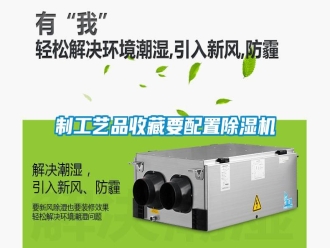知識百科制工藝品收藏要配置除濕機