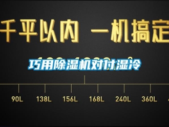 行業(yè)新聞巧用除濕機(jī)對(duì)付濕冷