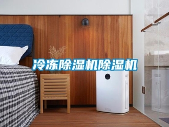 行業(yè)新聞冷凍除濕機除濕機