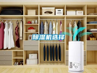企業(yè)新聞除濕機(jī)選擇