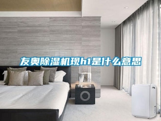 行業(yè)新聞友奧除濕機現(xiàn)h1是什么意思
