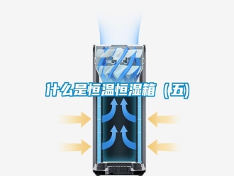 知識(shí)百科什么是恒溫恒濕箱（五)