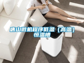 知識(shí)百科唐山微機(jī)程序低溫（高溫）恒溫槽