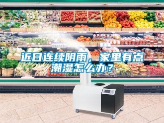 常見問題近日連續(xù)陰雨，家里有點潮濕怎么辦？