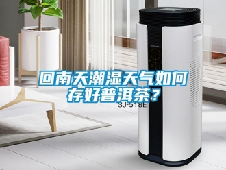常見問題回南天潮濕天氣如何存好普洱茶？