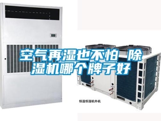 行業(yè)新聞空氣再濕也不怕 除濕機(jī)哪個牌子好