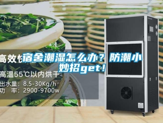 常見(jiàn)問(wèn)題宿舍潮濕怎么辦？防潮小妙招g(shù)et！