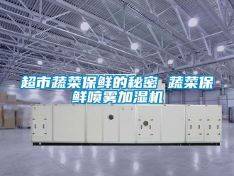 企業(yè)新聞超市蔬菜保鮮的秘密 蔬菜保鮮噴霧加濕機