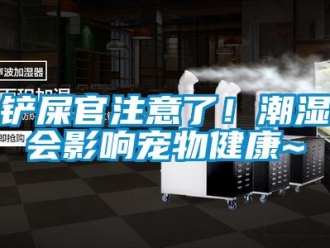 企業(yè)新聞鏟屎官注意了！潮濕會影響寵物健康~