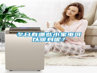 企業(yè)新聞冬日有哪些小家電可以暖身呢？