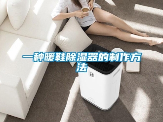 行業(yè)新聞一種暖鞋除濕器的制作方法