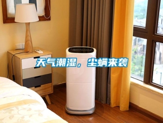 知識(shí)百科天氣潮濕，塵螨來襲