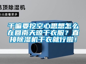 常見(jiàn)問(wèn)題干嘛要挖空心思想怎么在回南天晾干衣服？直接除濕機(jī)干衣就行啦！