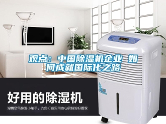常見問題觀點(diǎn)：中國除濕機(jī)企業(yè) 如何成就國際化之路