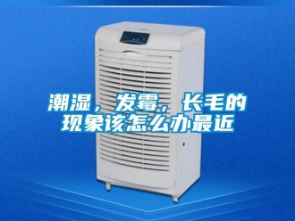 常見(jiàn)問(wèn)題潮濕，發(fā)霉，長(zhǎng)毛的現(xiàn)象該怎么辦最近