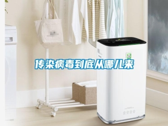 企業(yè)新聞傳染病毒到底從哪兒來