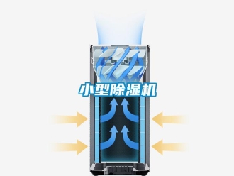 知識(shí)百科小型除濕機(jī)
