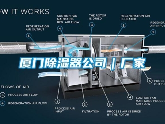 行業(yè)新聞廈門除濕器公司｜廠家