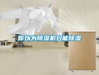 行業(yè)新聞你以為除濕機只能除濕