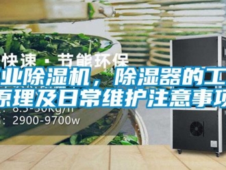 企業(yè)新聞工業(yè)除濕機(jī)，除濕器的工作原理及日常維護(hù)注意事項(xiàng)