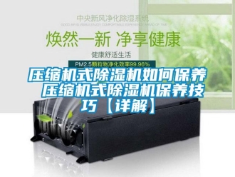 行業(yè)新聞壓縮機式除濕機如何保養(yǎng) 壓縮機式除濕機保養(yǎng)技巧【詳解】