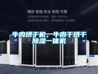 行業(yè)新聞牛肉烘干機(jī)，牛肉干烘干除濕一體機(jī)