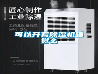 行業(yè)新聞可以開著除濕機睡覺么
