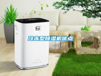 行業(yè)新聞冷凍型除濕機優(yōu)點