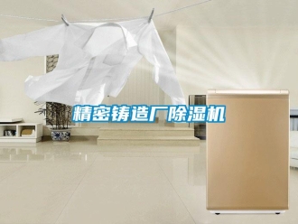 行業(yè)新聞精密鑄造廠除濕機(jī)