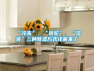 常見問題“冷凍”、“轉(zhuǎn)輪”、“溶液”三種除濕方式詳解來了