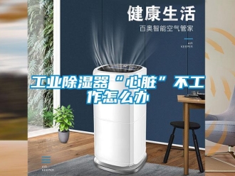 常見(jiàn)問(wèn)題工業(yè)除濕器“心臟”不工作怎么辦