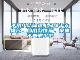 企業(yè)新聞不用糾結(jié)除濕機(jī)品牌十大排名，自用款推薦，家里不再潮乎乎