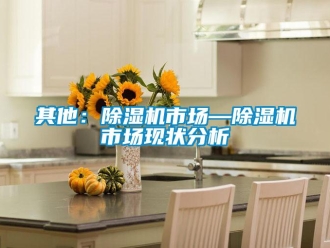行業(yè)新聞其他：除濕機(jī)市場(chǎng)—除濕機(jī)市場(chǎng)現(xiàn)狀分析