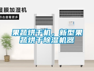行業(yè)新聞果蔬烘干機(jī)，新型果蔬烘干除濕機(jī)器