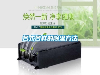 企業(yè)新聞各式各樣的除濕方法